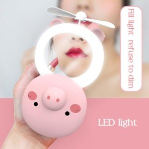 Makeup Mirror Fan With Light Small Mirror Mini Portable Rechargeable Led Makeup Mirror Fill Light Mirror